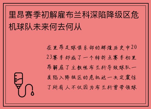 里昂赛季初解雇布兰科深陷降级区危机球队未来何去何从 里昂赛季初解雇布兰科深陷降级区危机球队未来何去何从
